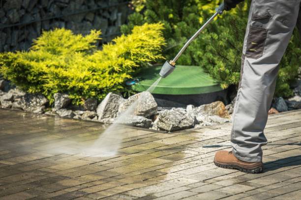 Best Boat and Dock Cleaning  in Hernando Beach, FL