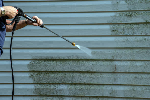 Best Patio and Deck Pressure Washing  in Hernando Beach, FL