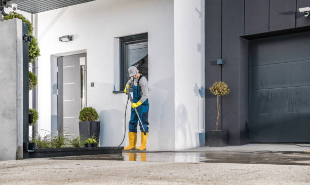 Best Soft Washing  in Hernando Beach, FL